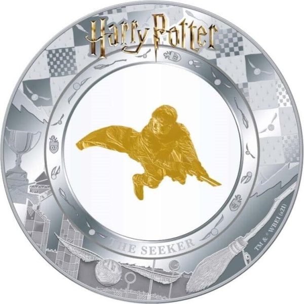 Golden Seeker Harry Potter Embracing Gold Quidditch