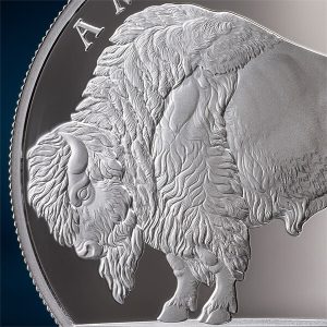 American Buffalo_fragm1_600x600