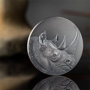 Black Rhino_backgr1_600x600