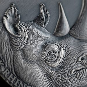 Black Rhino_fragm1_600x600