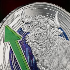 Bull and Bear Markets_fragm2_600x600