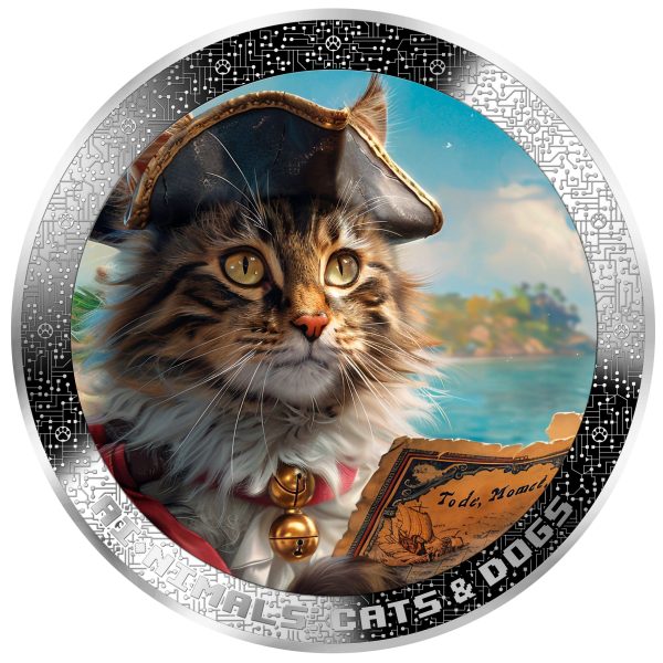 Pirate Cat