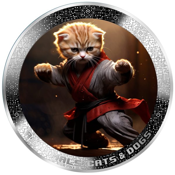 Kung Fu Cat