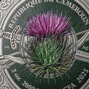 FB_Celtic_fragm3_600x600