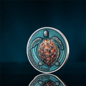 LG_Loggerhead sea turtle_backgr1_600х600