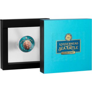 LG_Loggerhead sea turtle_box_600x600