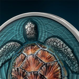 LG_Loggerhead sea turtle_fragm1_600х600