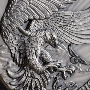 LQ_Eagle and Raven_fragm_600x600