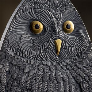 MO_Short-Eared Owl_fragm1_600x600
