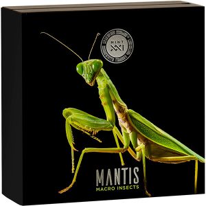 NU1375__Macro Insects_Mantis_6