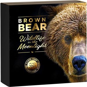 WM_Brown Bear_box2_600х600