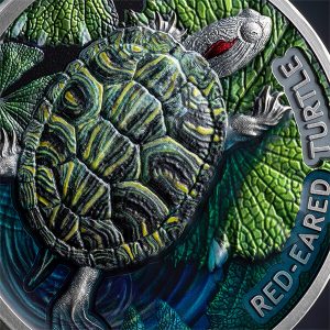 LJ_Red-Eared Turtle_fragm1_600x600