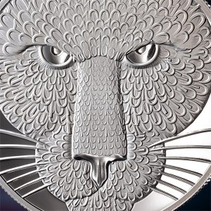 Puma_fragm1_600x600