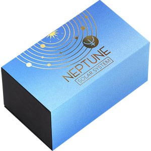 SS_Neptune_box1_600x600