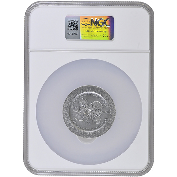 Leda and the Swan MS 70 Antiqued NGC_O