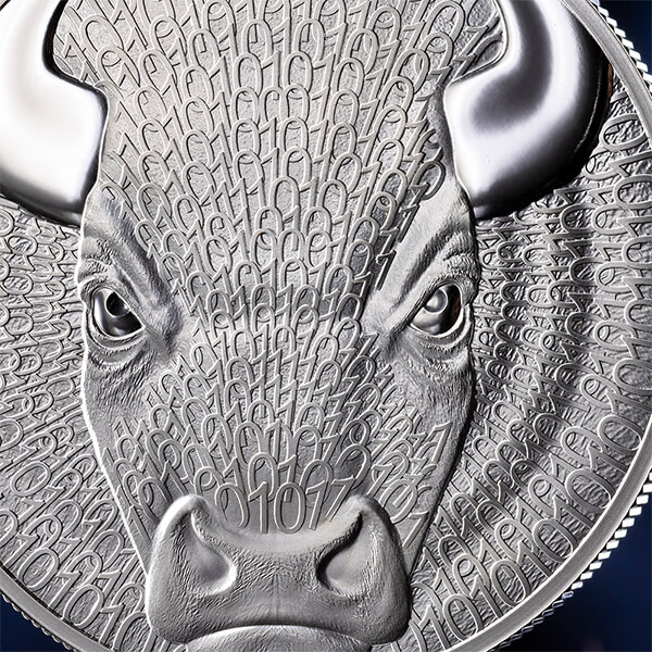 BW_Bull_fragm1_600х600