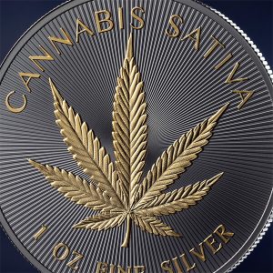 Hemp_fragm1_600x600